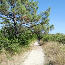 Un petit coin tranquille